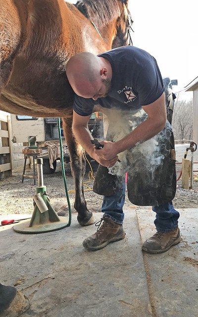 Auburn University veterinary student Zachary Hulbert works on a horse’s hoof