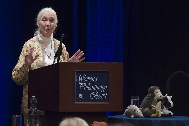 Jane Goodall at a podium