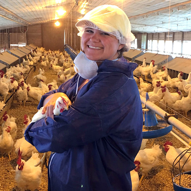 Auburn University veterinary student Maggie Thompson holds a chicken.