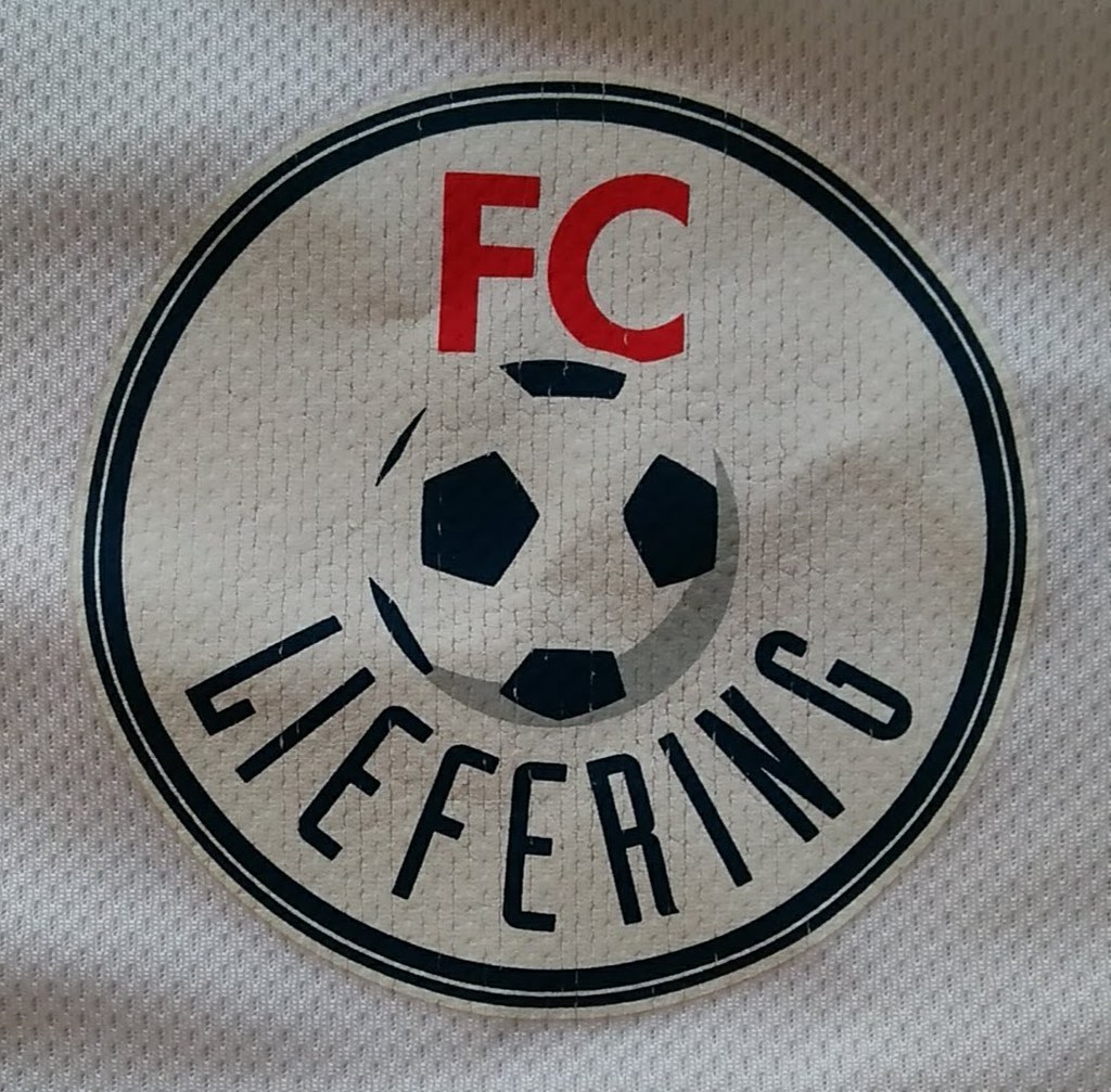 Resultado de imagem para FC Liefering