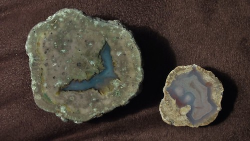 The rocks have been turned over. They have been cut in half and the cut surface polished. The larger rock on the left has blue chalcedony in the shape of the bat signal. The rock on the right is smaller and has blue and pale pink/tan chalcedony in an elongated pattern that looks vaguely like an embryo.