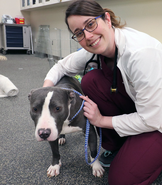 Dr. Kayla Corriveau and the dog Jasmine