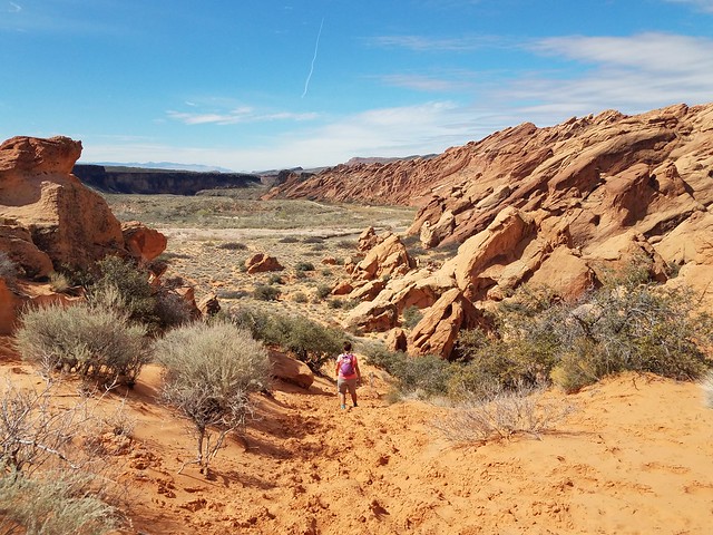 Short Hikes Near St. George | Oh, the Places They Go!