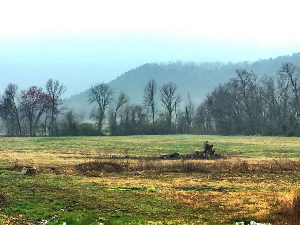 Foggy morning – later yielded to sunny skies and then by overcast as a cold front blew in, west-central Arkansas, March 19, 2018 (Apple iPhone 6s)