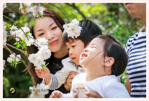 Japanese family photographer based in Nagoya, Aichi, Japan, shooting for client from Hong Kong with cherry blossom 櫻桃樹