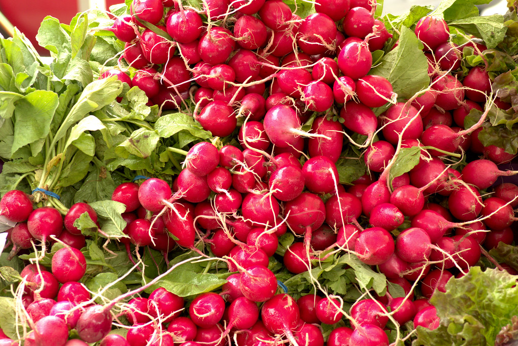 Dane County Farmers Market Saturday on the Square, Madison, Wisconsin, June 2, 2018. Photo shared as public domain on Pixabay as Harvested Fresh Radishes.
