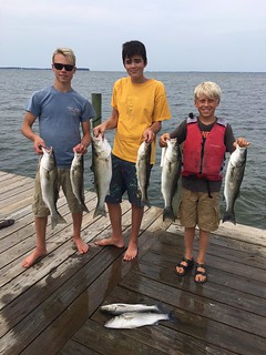 Photo of boys with their catch of striped bass