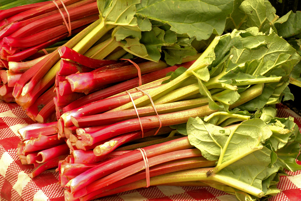 Market Fresh Rhubarb - Dane County Farmers Market Saturday on the Square, Madison, Wisconsin, June 2, 2018. Photo shared as public domain at Pixabay and Flickr. 