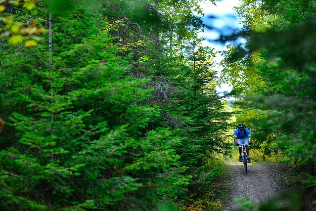 A mountain bike riding trail