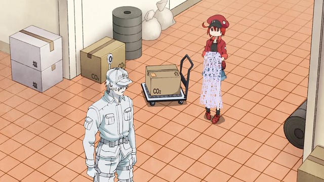 Cells at Work Returns! Why Having Two Different Cells at Work Anime Airing  Simultaneously Makes for a More Enjoyable Experience – OTAQUEST