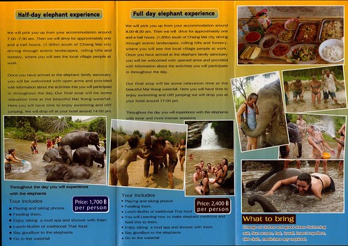 Elephant Family Sanctuary Chiang Mai Thailand Brochure 2
