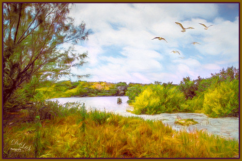 Image of a quiet cove at Spanish Cay in the Bahamas