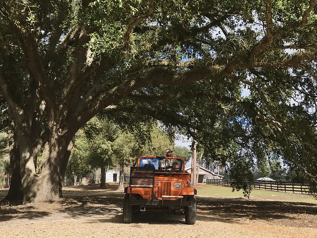 Charley Tarver rides in an orange and blue jeep