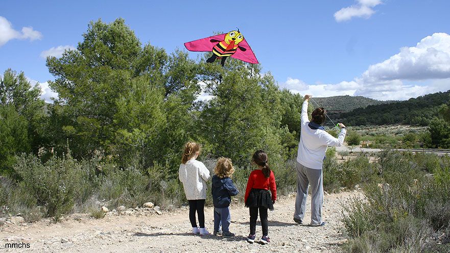 volando la cometa en el campo con niños
