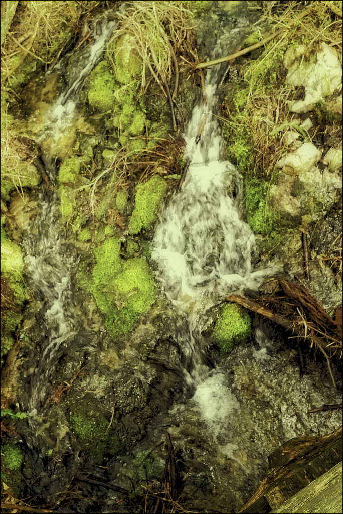 Crossing a Small Stream