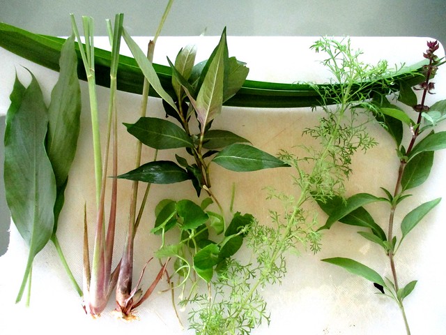 Leaves & herbs