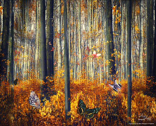 Digital Art image of a forest with lots of colorful butterflies