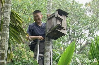 950-1-5Ps長期研究貓頭鷹的林文隆，動手使用廢棄木材做人工巢箱2003年展開的巢箱計畫。