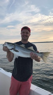 Photo of man holding striped bass