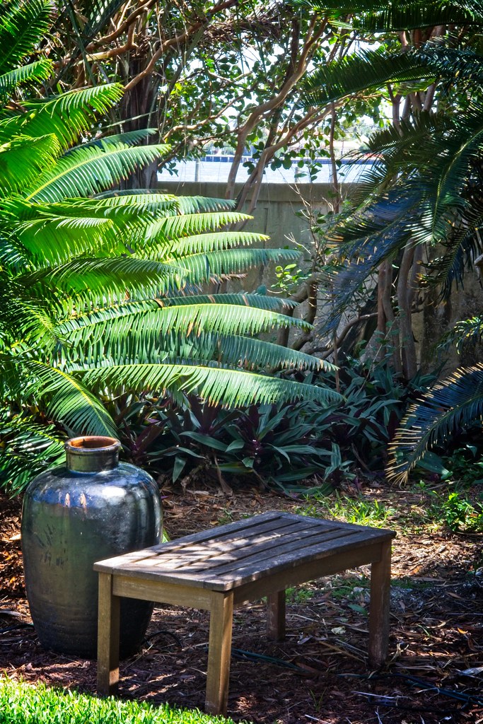 Ann Norton Sculpture Garden West Palm Beach Florida Flickr