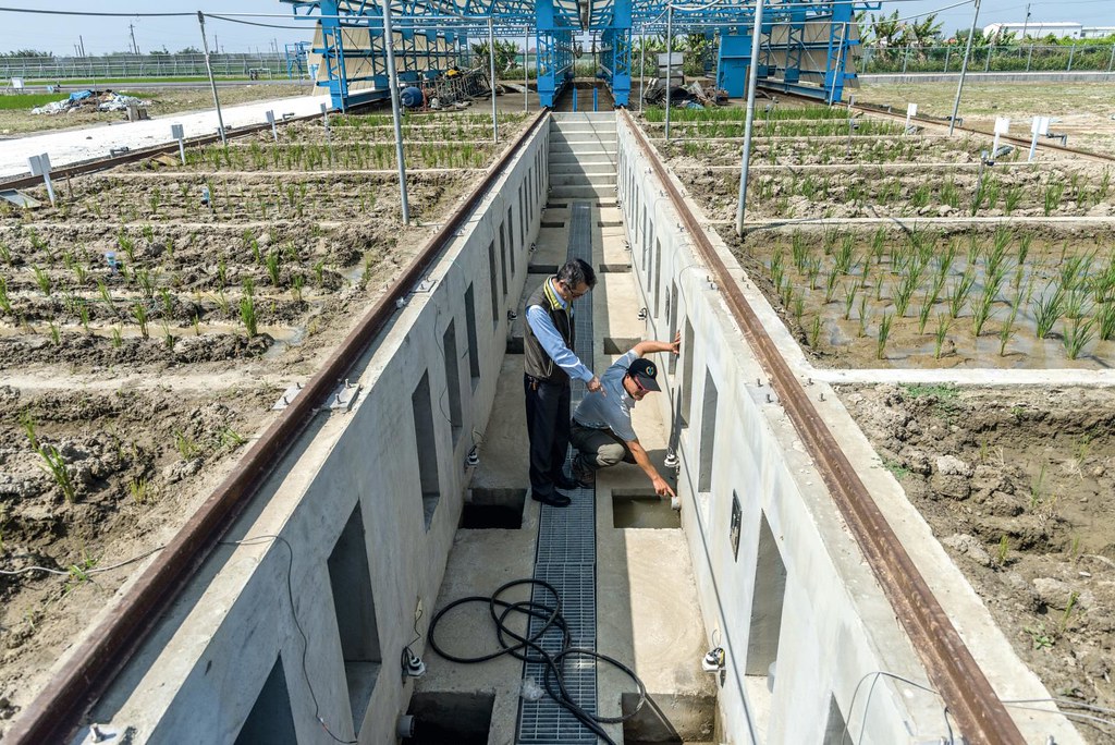 灌溉技術推廣中心設有透明觀測區，可直接看到土壤剖面，觀察水稻根系、水分在土壤中的情形。