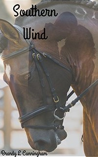 Southern Wind by Brandy L Cunningham | Equus Education