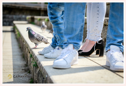 a pigeon and sneakers