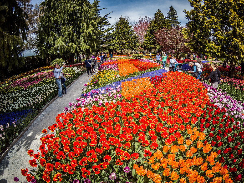 Skagit Valley Tulips 163 C Dcim 100gopro Gopr4093 Gpr Flickr