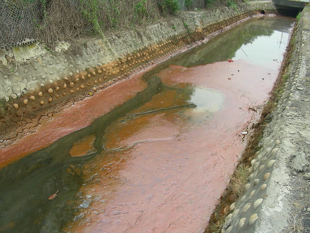 2006年和美番仔溝排水道殘留之紅色污泥。圖片來源：台灣水鳥研究群彰化海岸保育行動聯盟(CC BY-NC-SA 2.0)