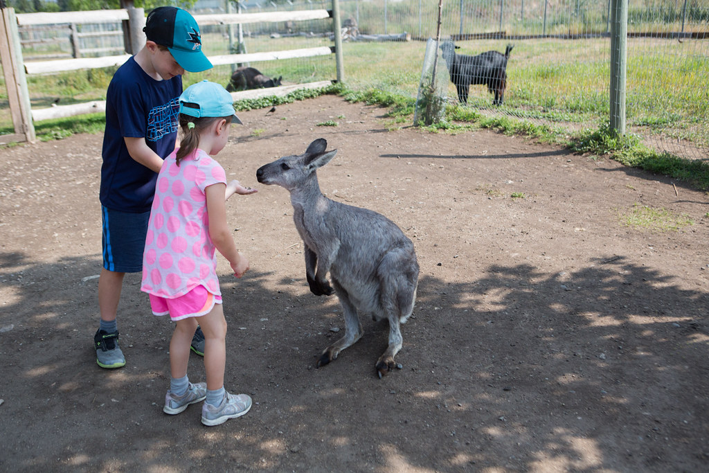 Kangaroo Creek Farm Kelowna