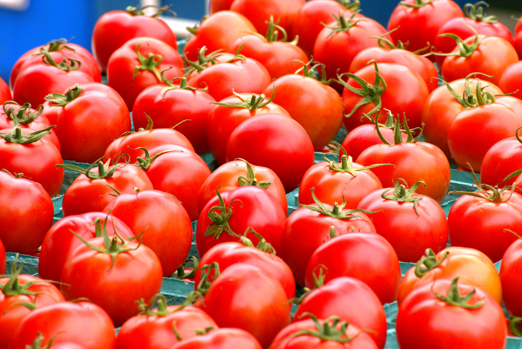Fresh Harvested Tomatoes - Dane County Farmers Market Saturday on the Square, Madison, Wisconsin, June 2, 2018. Photo shared as public domain at Pixabay and Flickr. 