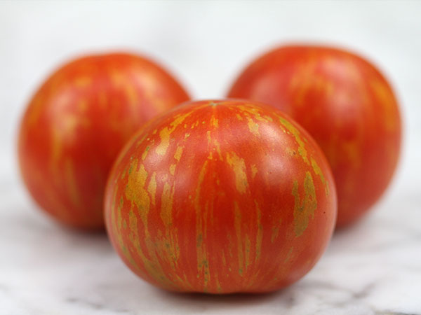 Tomato striations? 42457815565_ecfa3d6b72_o