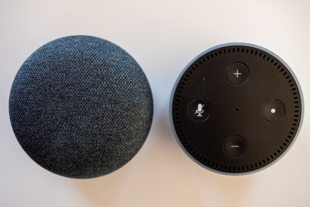 Image result for Amazon Echo and google home