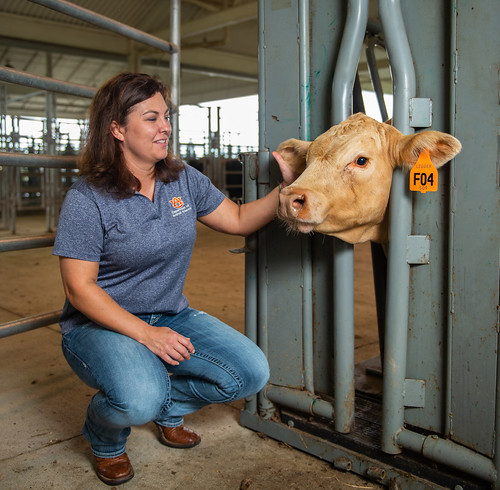 Christy Bratcher works with cattle