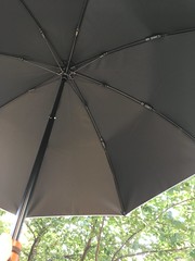 日傘の効果
