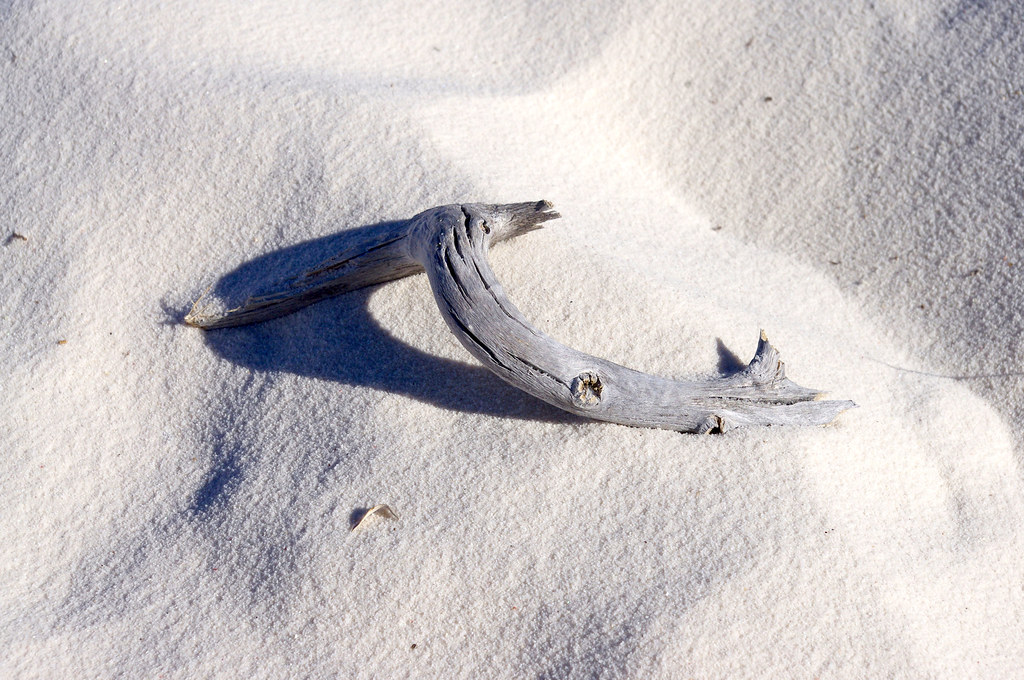 White Sands National Monument, New Mexico, October 13, 2011. Image shared as public domain on Pixabay and Flickr as “White Sand and Deadwood.”