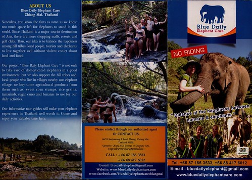 Blue Daily Elephant Care Chiang Mai Brochure 1