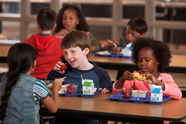 Children eating school meals