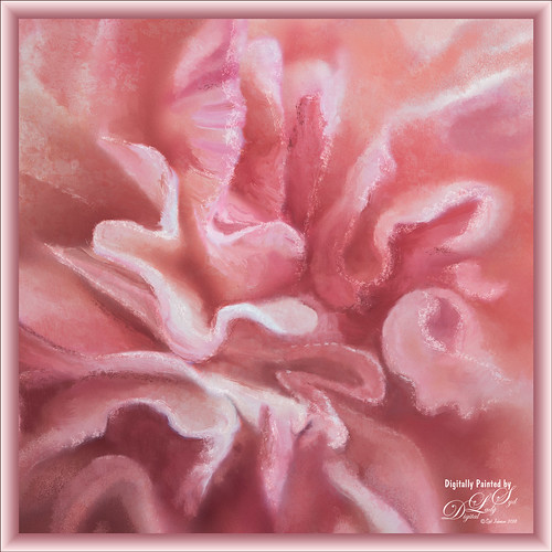 Image of painted Pink Carnations
