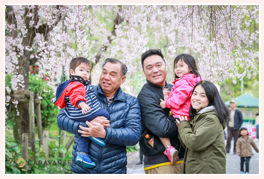 Family photography in Nagoya Aichi, Japan with cherry blossoms for a client from Hong Kong, Fruits Park, professional photographer