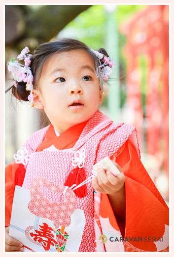 数え3歳の女の子の七五三写真をロケーション撮影 in 深川神社（愛知県瀬戸市）フォトスタジオ・写真館とは違う