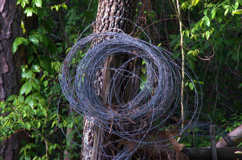 Barbed wire on a corner fence post since the mid 1980s, west-central Arkansas, April 30, 2018 (Pentax K-3 II)