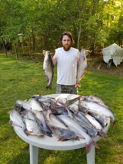 Photo of man with a lot of blue catfish