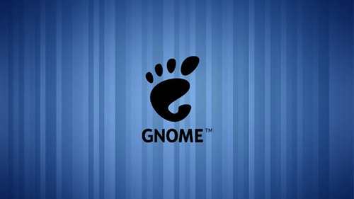 gnome-shell