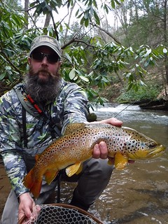 Man holding brown trout