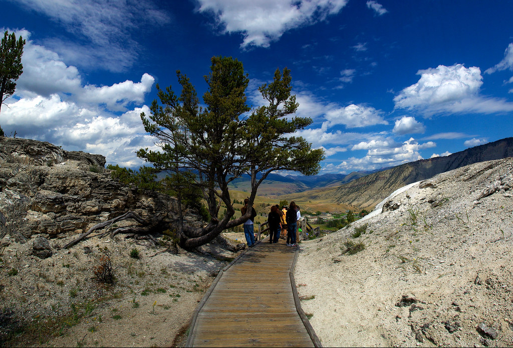 Mammoth Hot Springs, boardwalk to the top of the terraces, Yellowstone National Park, Wyoming, August 10, 2010 (Pentax K10D)