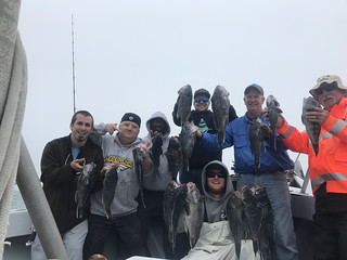 Photo of group holding up their catch of black sea bass