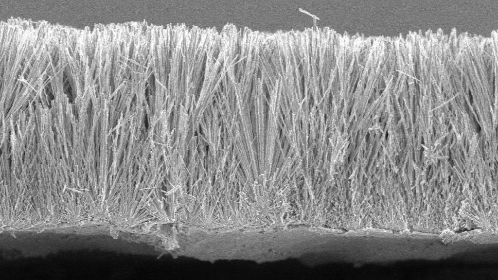 A cross-section of nanowire film