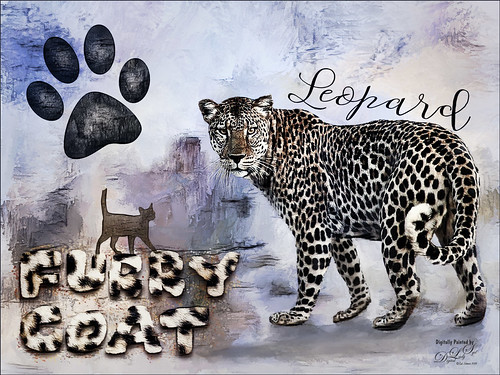 Image of a Leopard in a poster effect