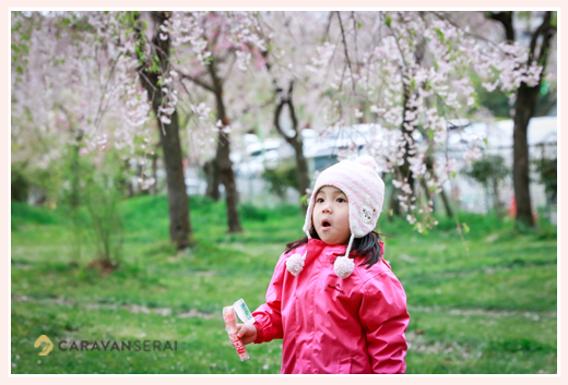 Family photography in Nagoya Aichi, Japan with cherry blossoms for a client from Hong Kong, Fruits Park, professional photographer